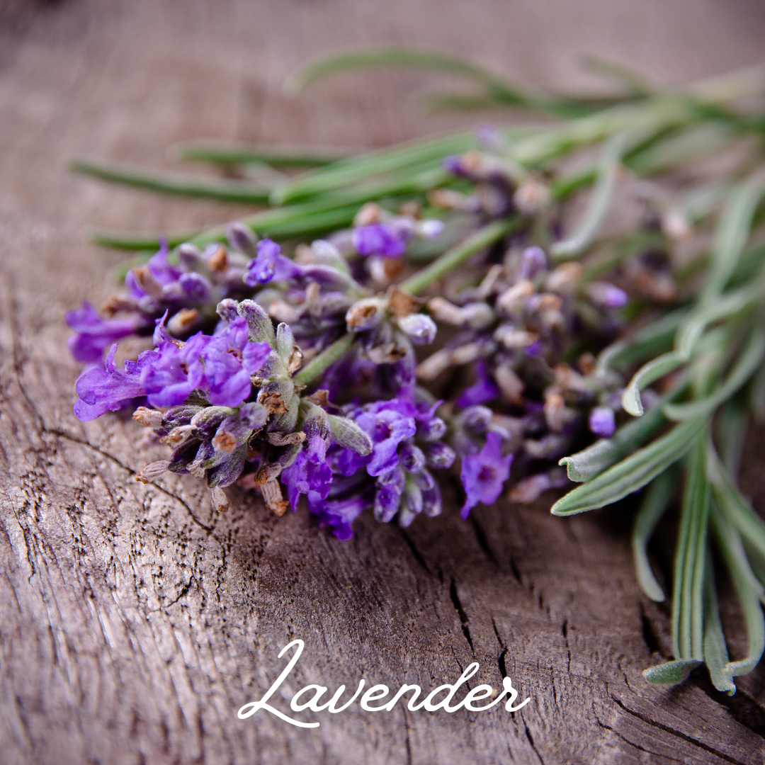 Calm Botanical Bath Soak, lavender and chamomile in bath water