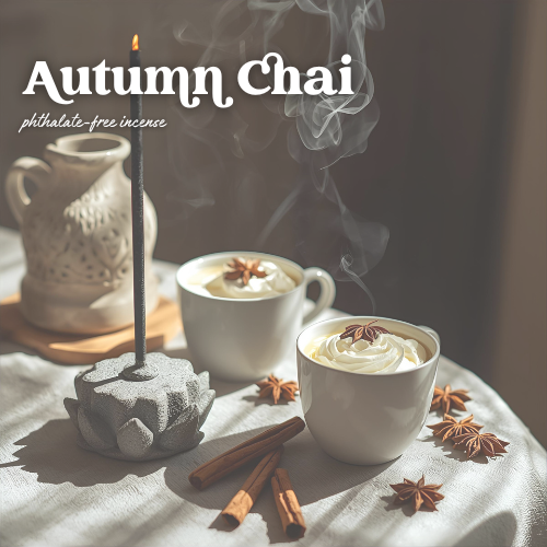 THE GOOD SMOKE | BOTANICAL CHARCOAL INCENSE STICKS | 50 PK