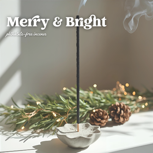 THE GOOD SMOKE | BOTANICAL CHARCOAL INCENSE STICKS | 50 PK