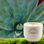Load image into Gallery viewer, MOSS &amp; MEADOW CANDLE (Refillable)
