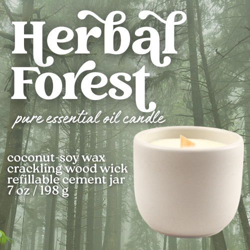 HERBAL FOREST COCONUT SOY WAX ESSENTIAL OIL SCENTED CANDLE WITH A CRACKLING WOOD WICK IN A CONCRETE JAR
