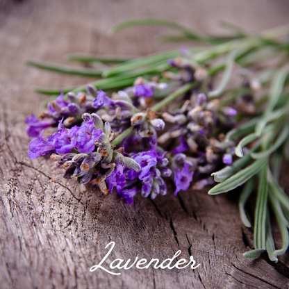 CALM BOTANICAL BATH SOAK