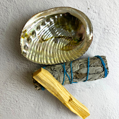 Natural Abalone Shell for smudge rituals next to Palo Santo and sage