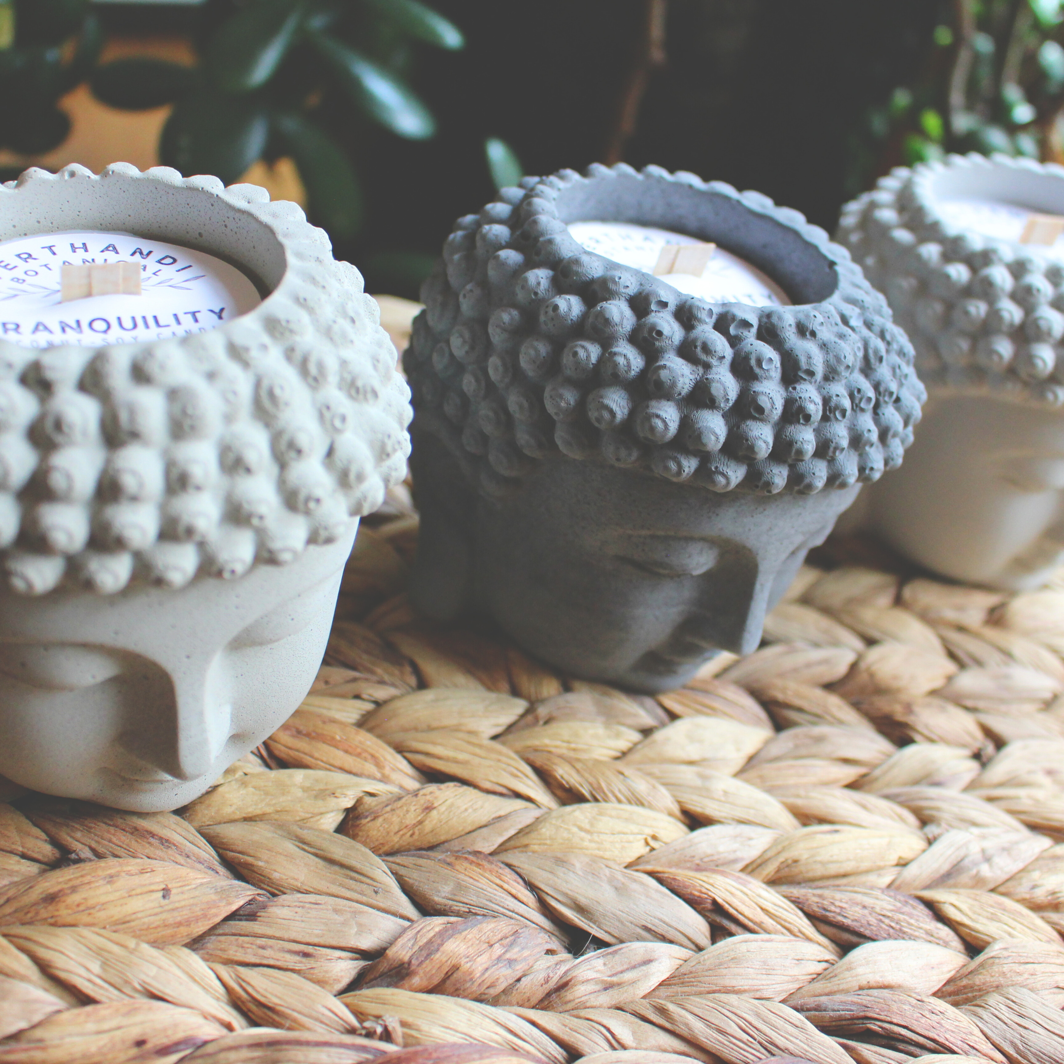 buddha head coconut soy candle with crackling wood wick in buddha head concrete jar, front view, dust cover