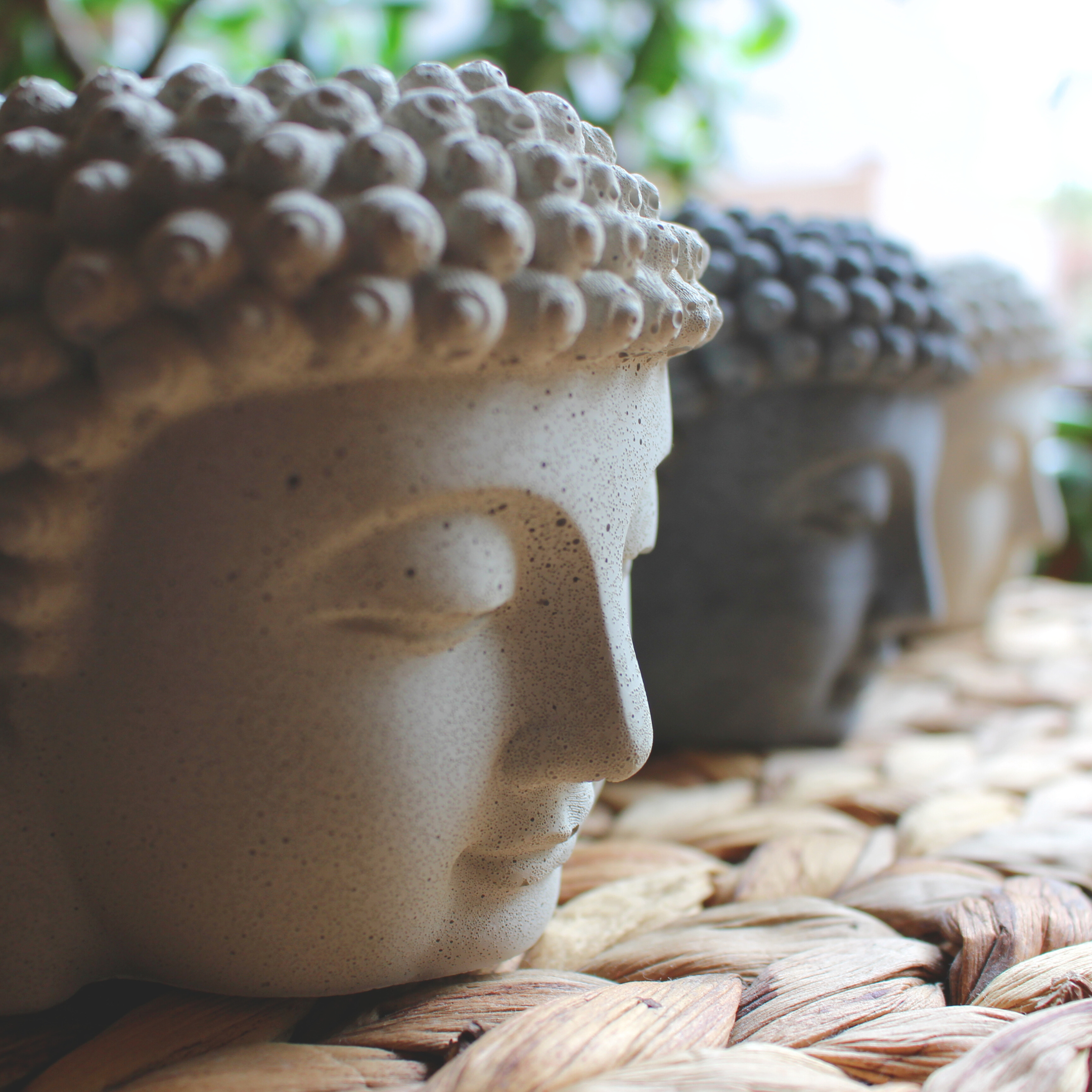 buddha head coconut soy candle with crackling wood wick in buddha head trio concrete jar, FACE SIDE  view, dust cover