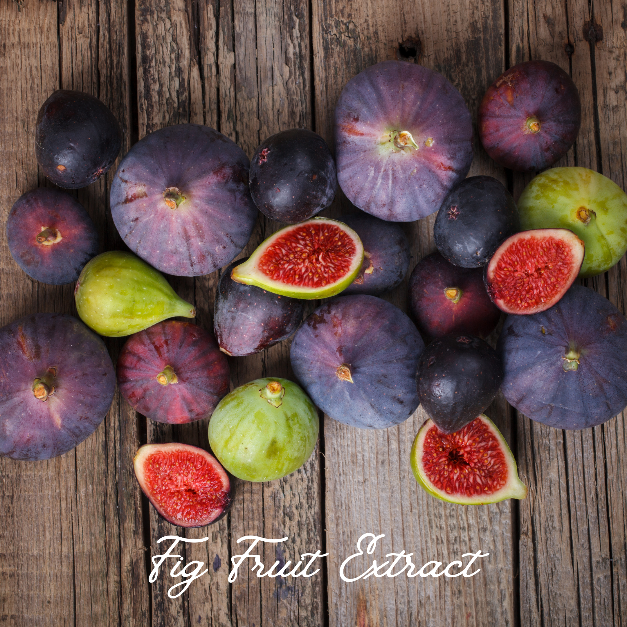 NECTAR REVITALIZING ELIXIR