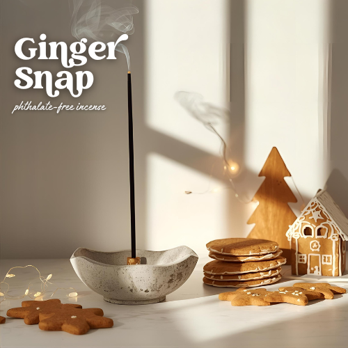 THE GOOD SMOKE - BOTANICAL CHARCOAL INCENSE STICKS - 50 PK