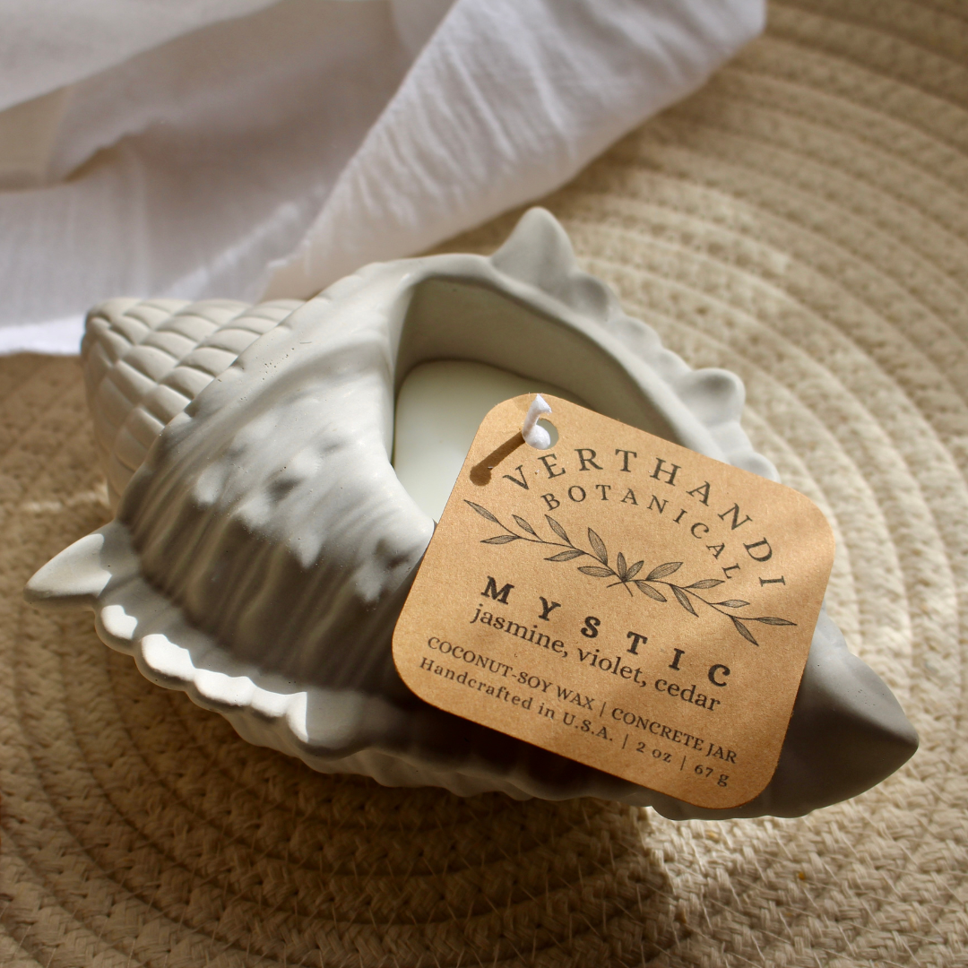 mystic coconut soy wax scented candle in concrete sea shell shaped jar
