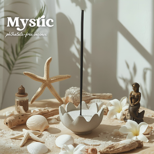 THE GOOD SMOKE - BOTANICAL CHARCOAL INCENSE STICKS - 50 PK