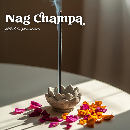 THE GOOD SMOKE | botanical charcoal incense sticks | 50 pack