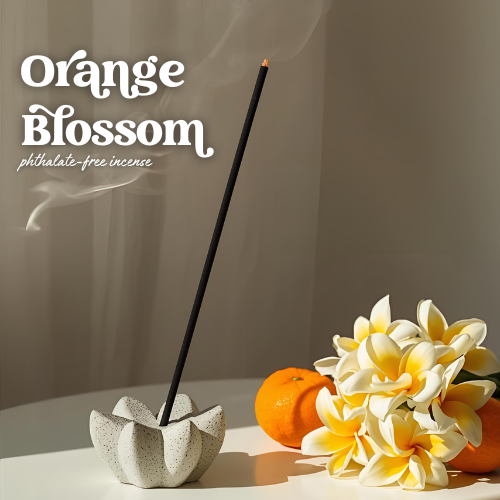 THE GOOD SMOKE - BOTANICAL CHARCOAL INCENSE STICKS - 50 PK