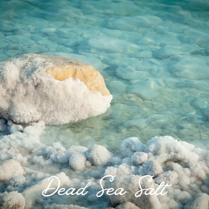 SALT + SEA  SHELL CANDLE
