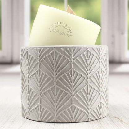vintage leaf concrete jar with coconut wax candle refill with crackling wood wick