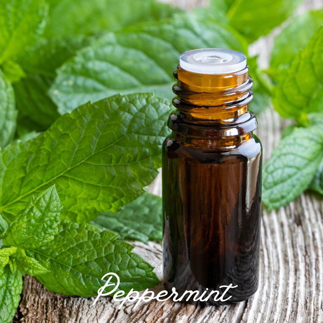 MOJITO | MAGNESIUM-INFUSED DEODORANT